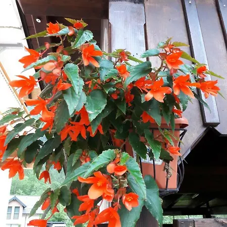 Sandra Apartmán Obertraun